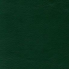 Мебельная экокожа Aries Col. 04(504) темно-зеленый